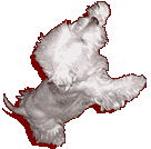 quero ouvir e ser ouvido!!!